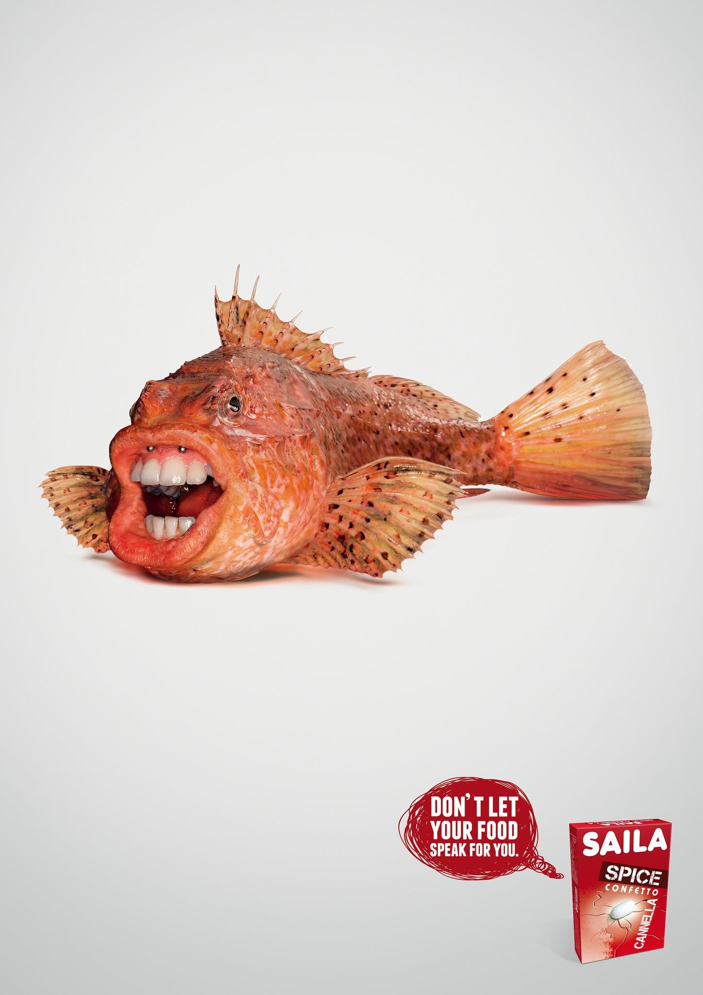 SAILA | Campaign | THE WORK
