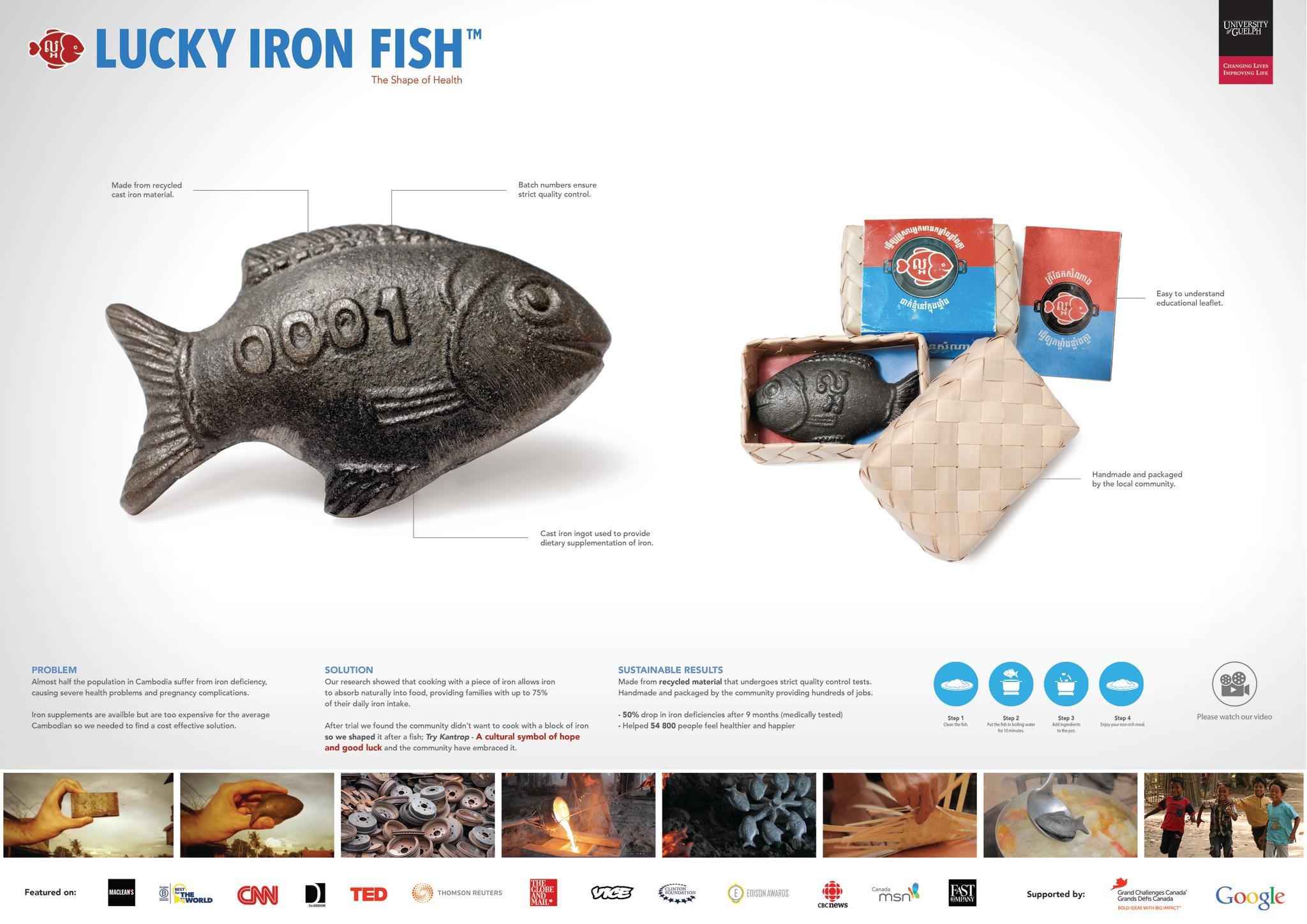 THE LUCKY IRON FISH PROJECT