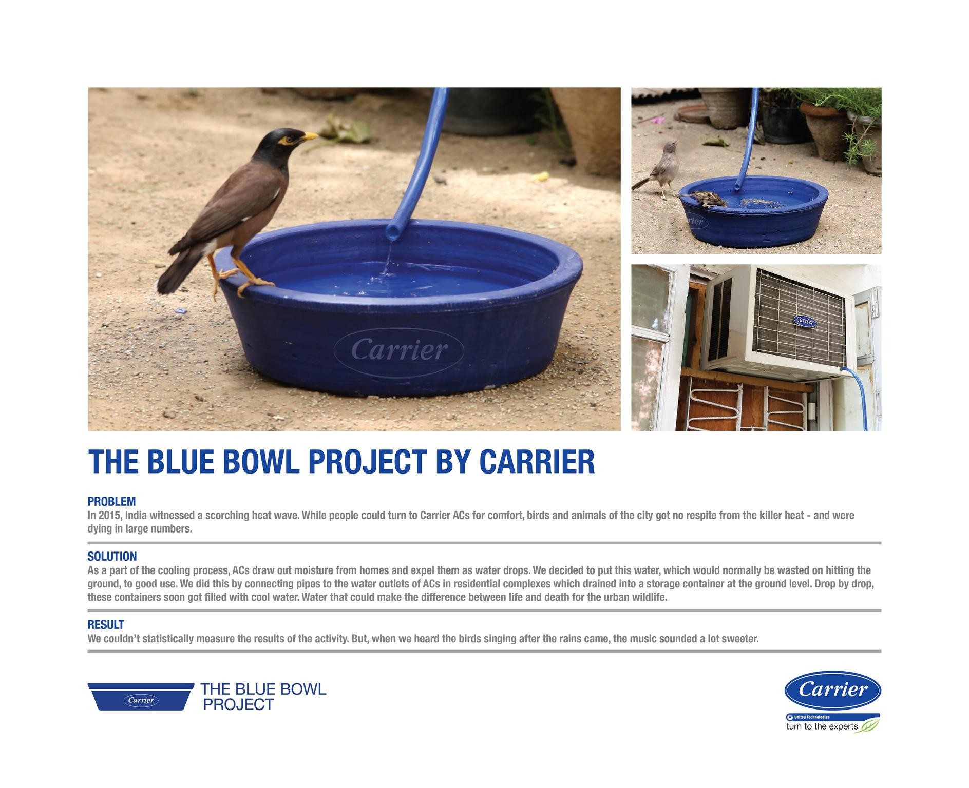 The Blue Bowl Project