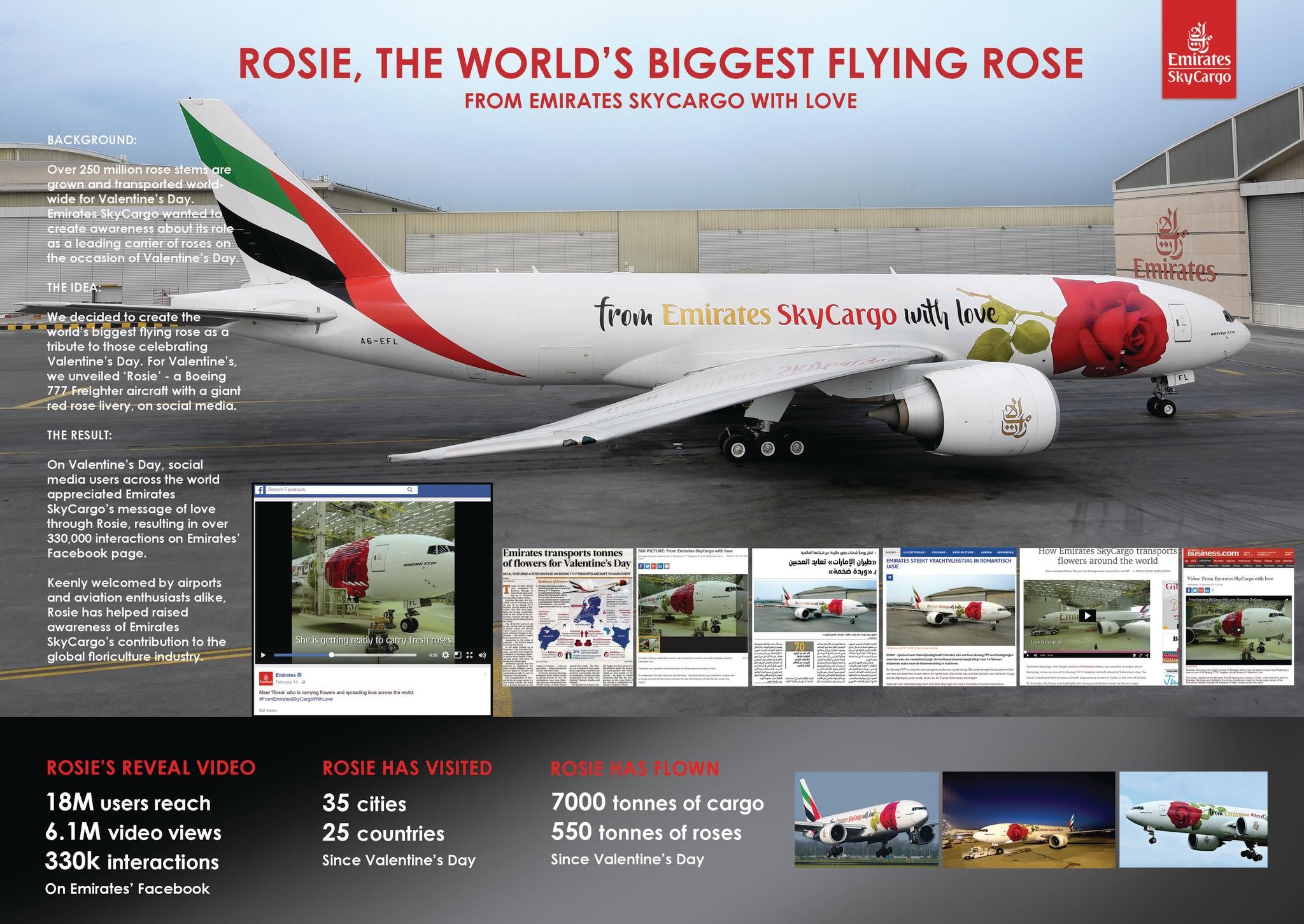 Rosie - The world's biggest flying rose