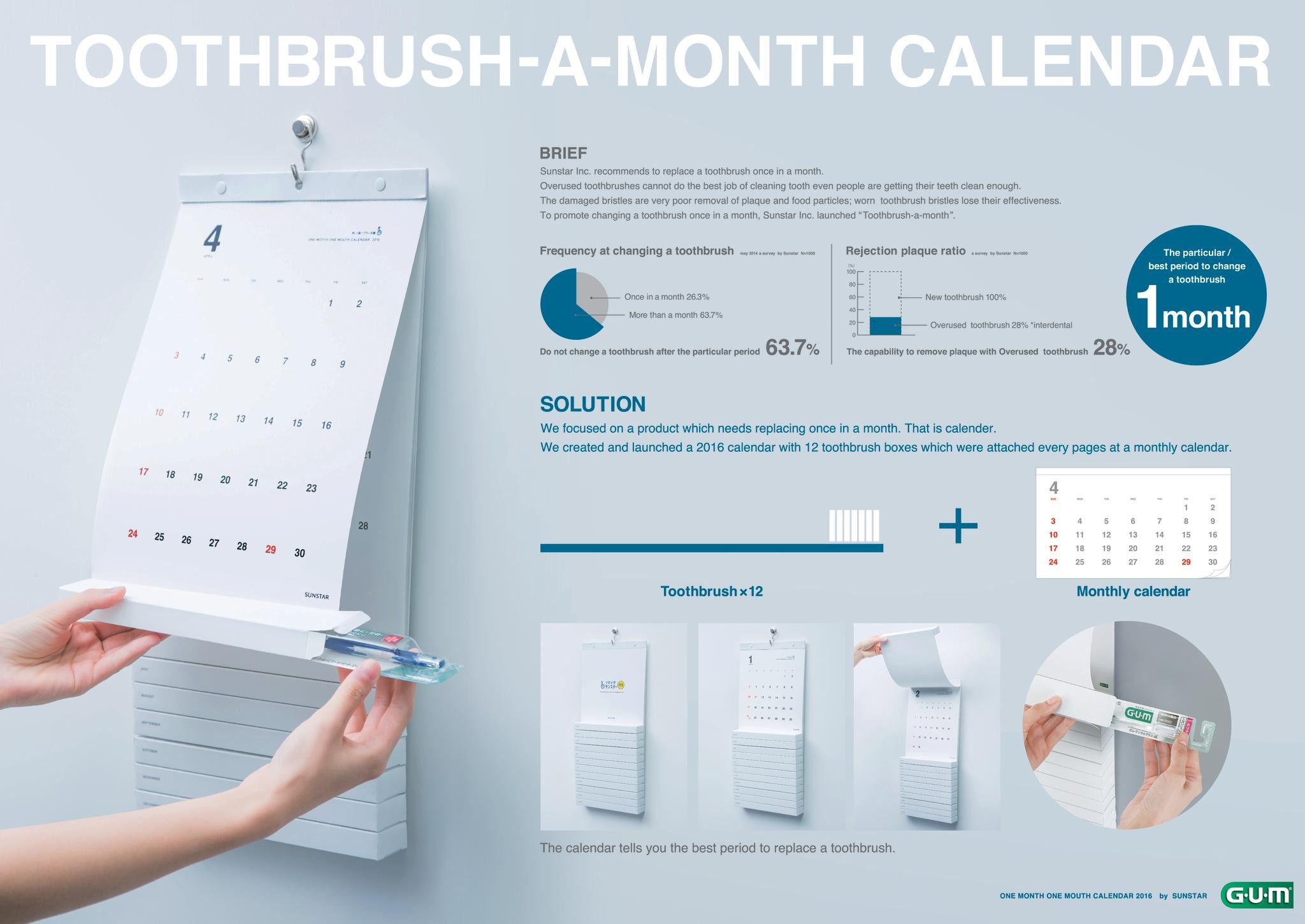 TOOTHBRUSH-A-MONTH CALENDAR