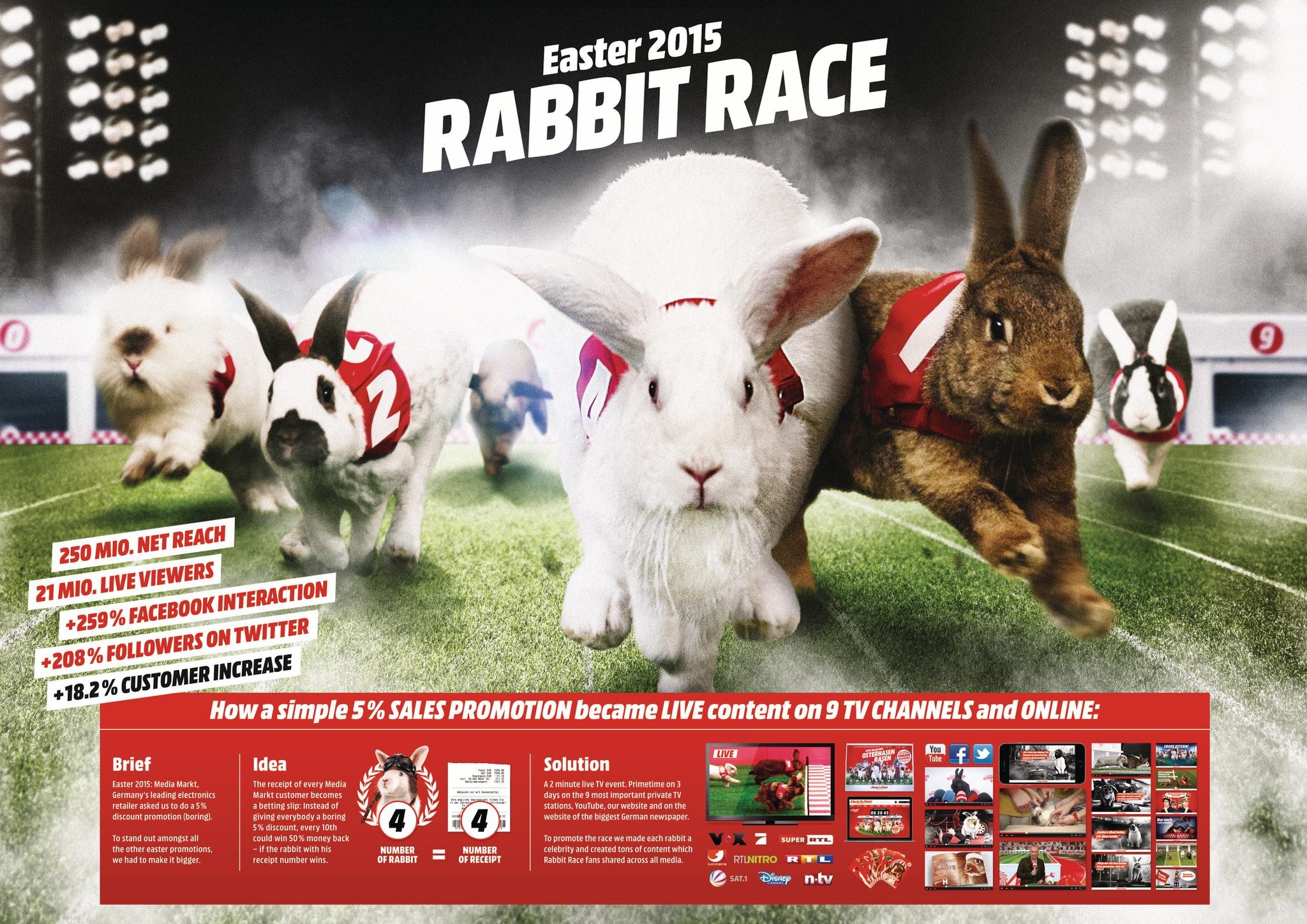 Rabbit Race | Campaign