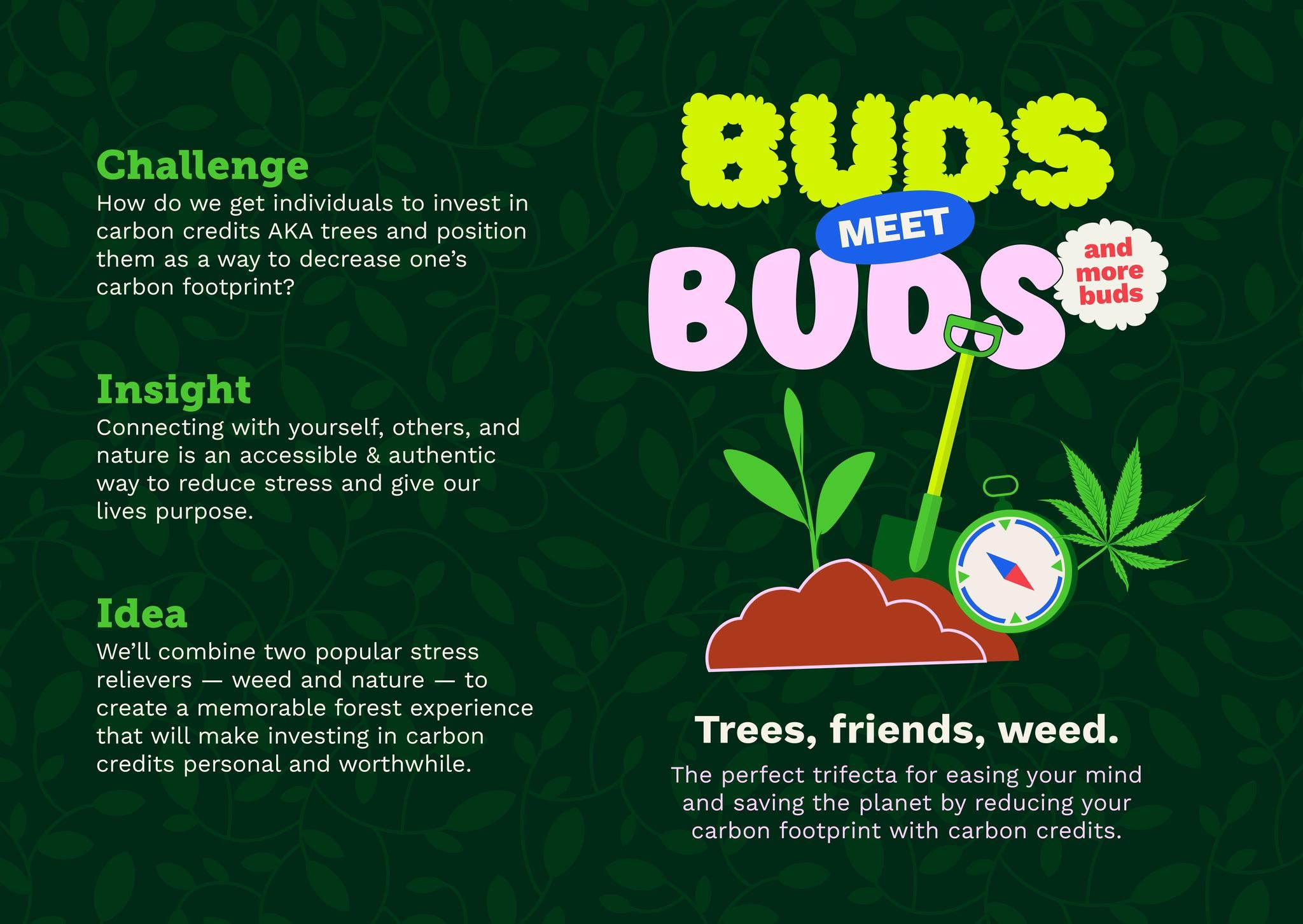 Buds Meet Buds