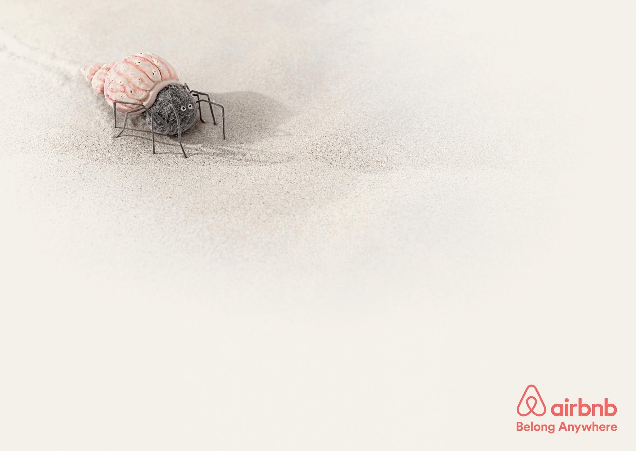 AIRBNB ANIMALS | SPIDER