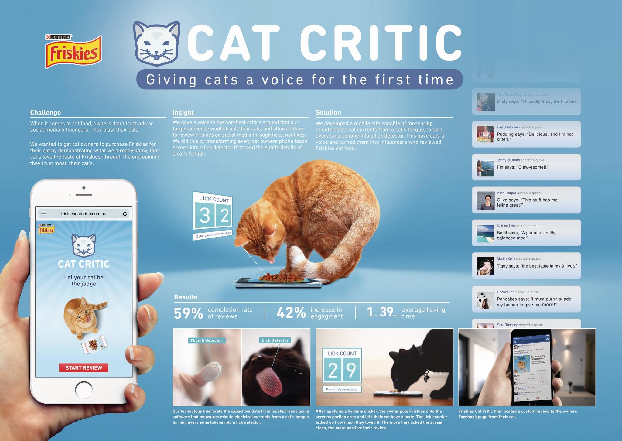 Cat Critic