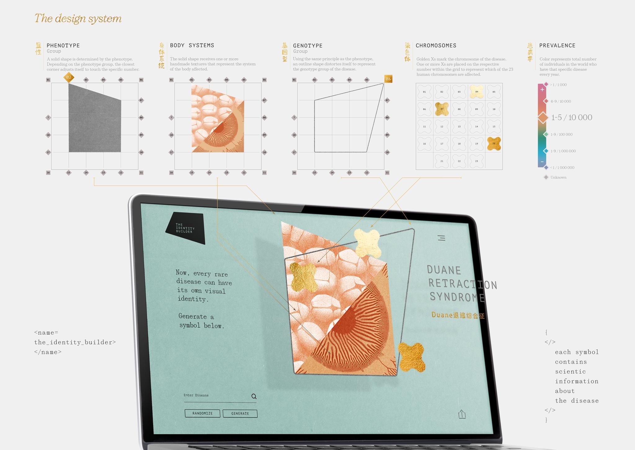 IDENTITY BUILDER | Entry | THE WORK