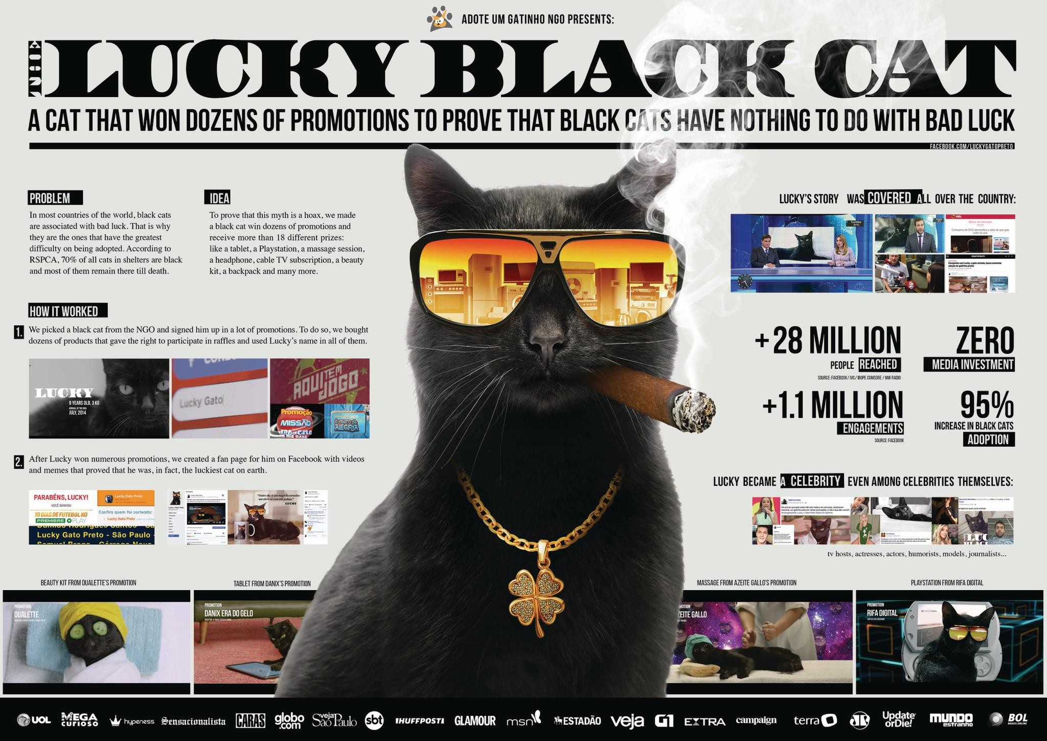 The Lucky Black Cat