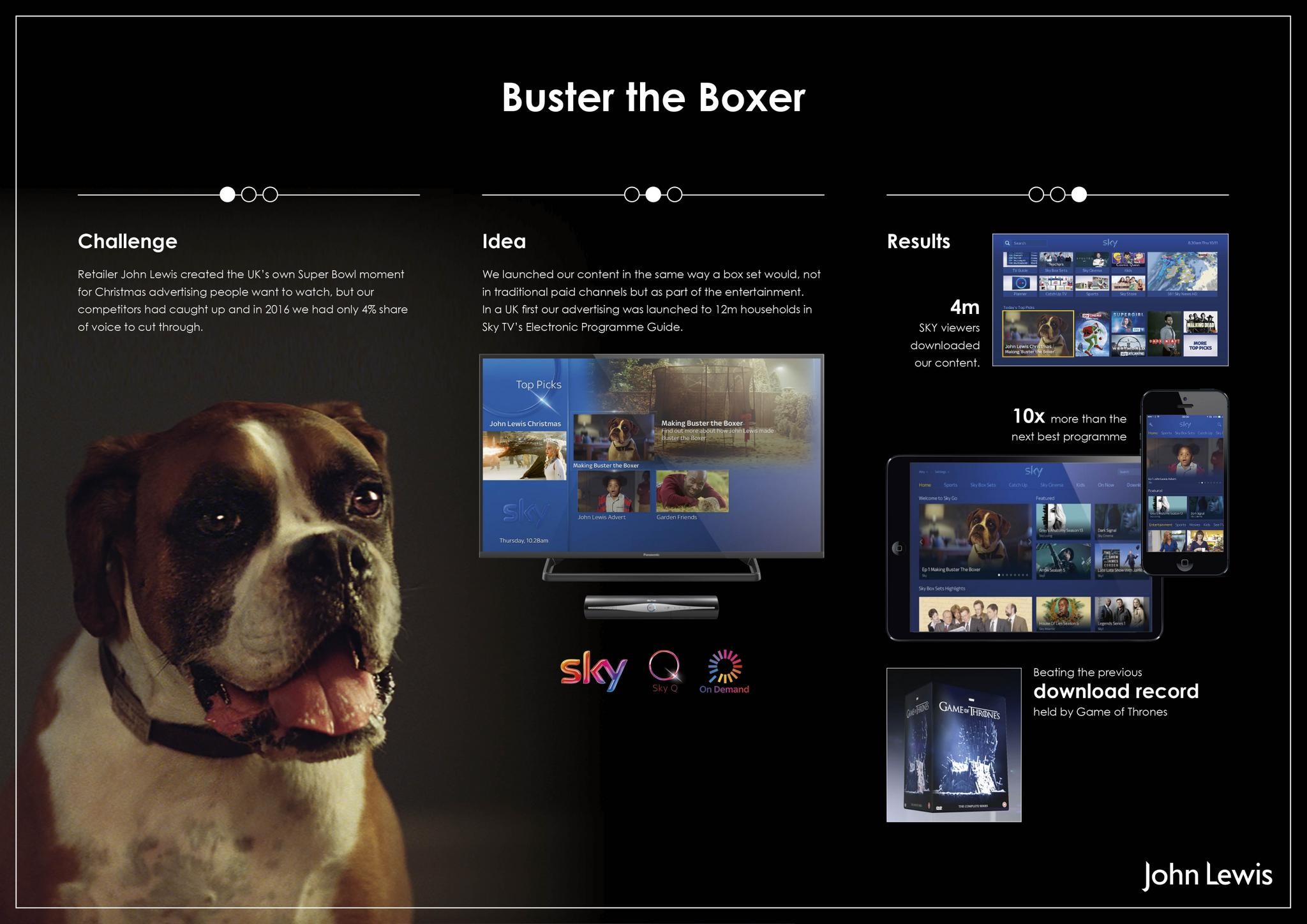 BUSTER THE BOXER, JOHN LEWIS' BEST CHRISTMAS EVER
