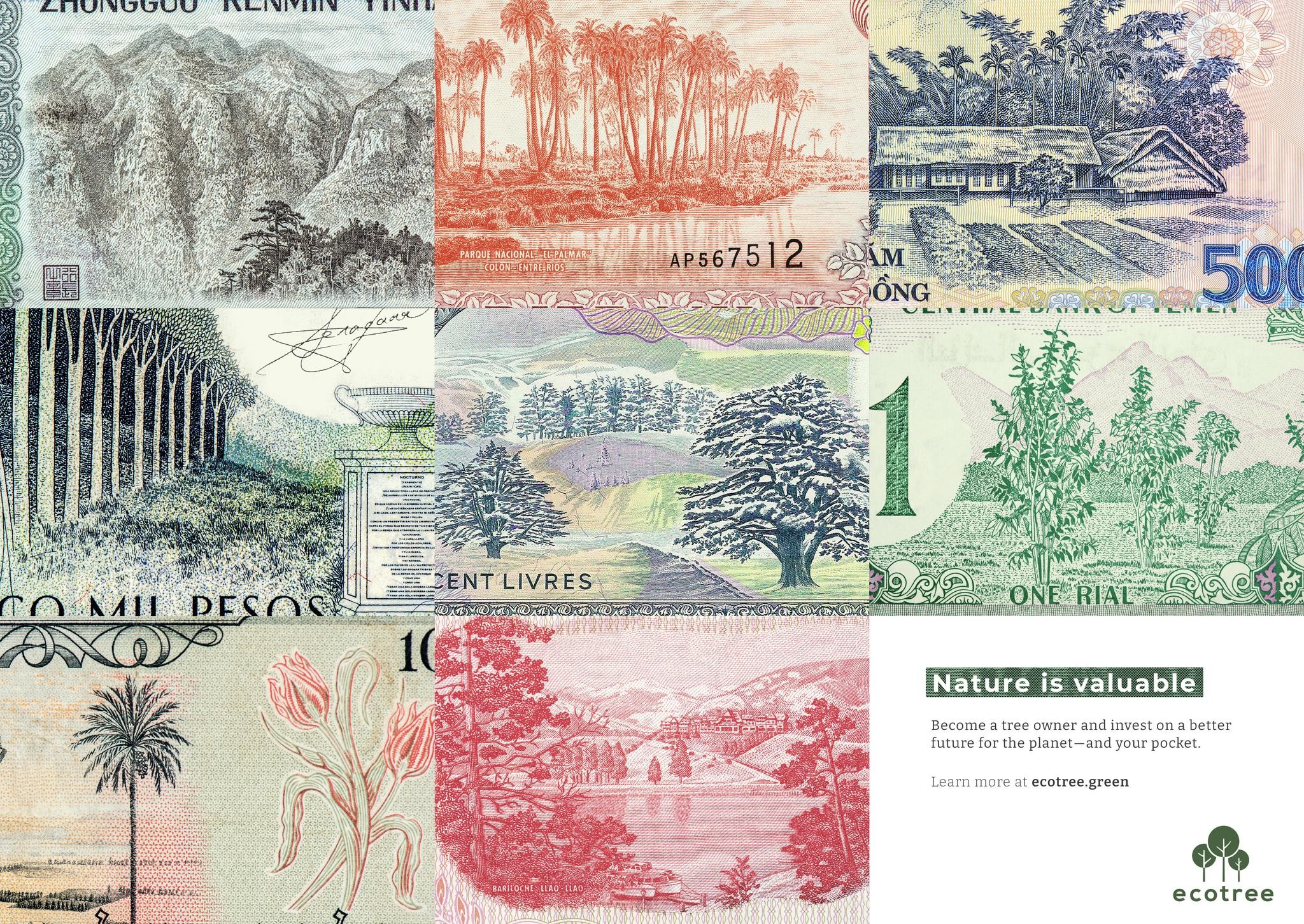 Banknote Trees