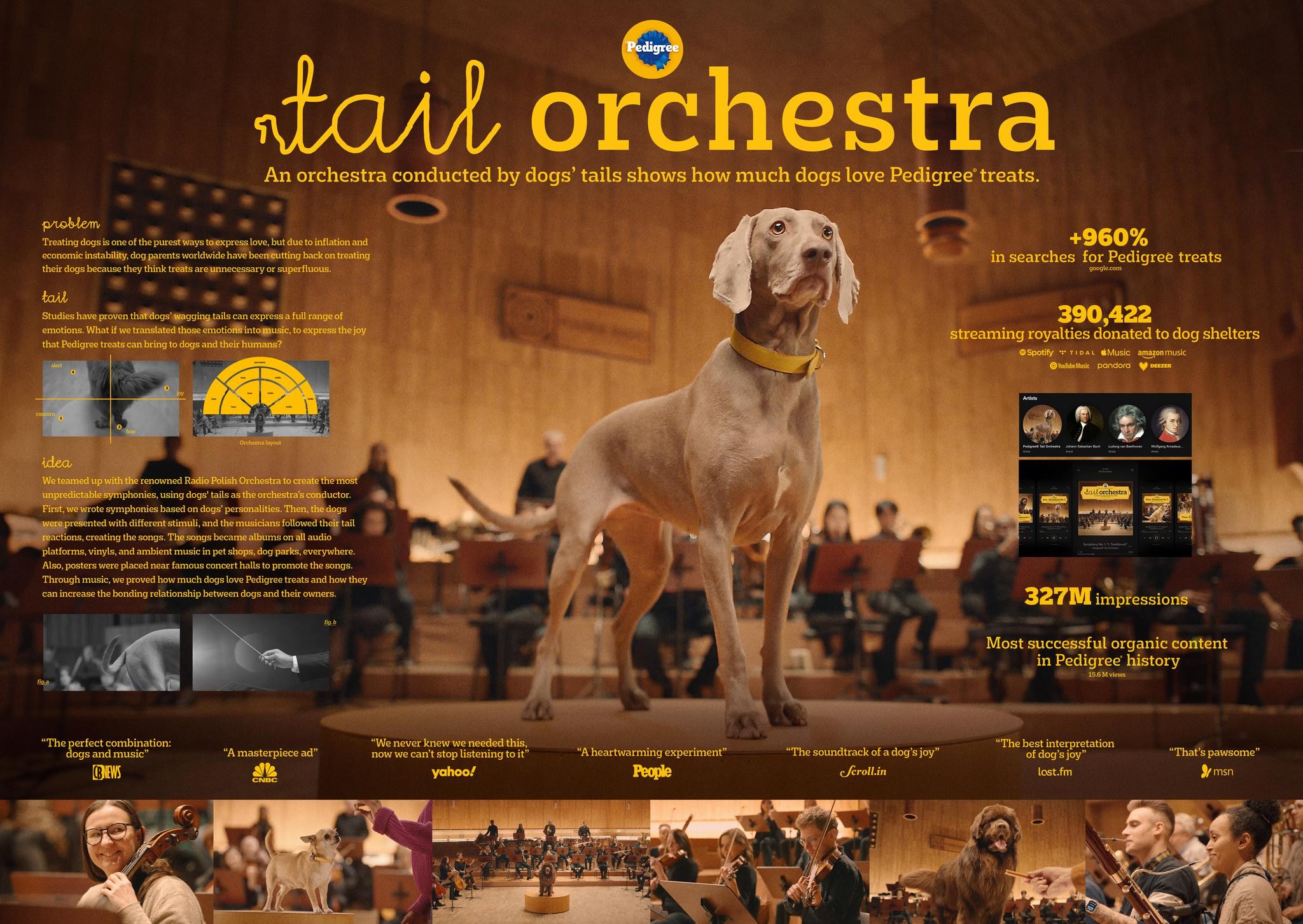 TAIL ORCHESTRA