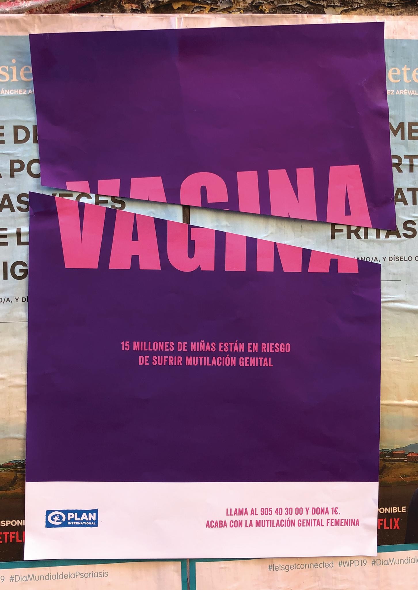 Vagina / Clítoris / Labios Menores