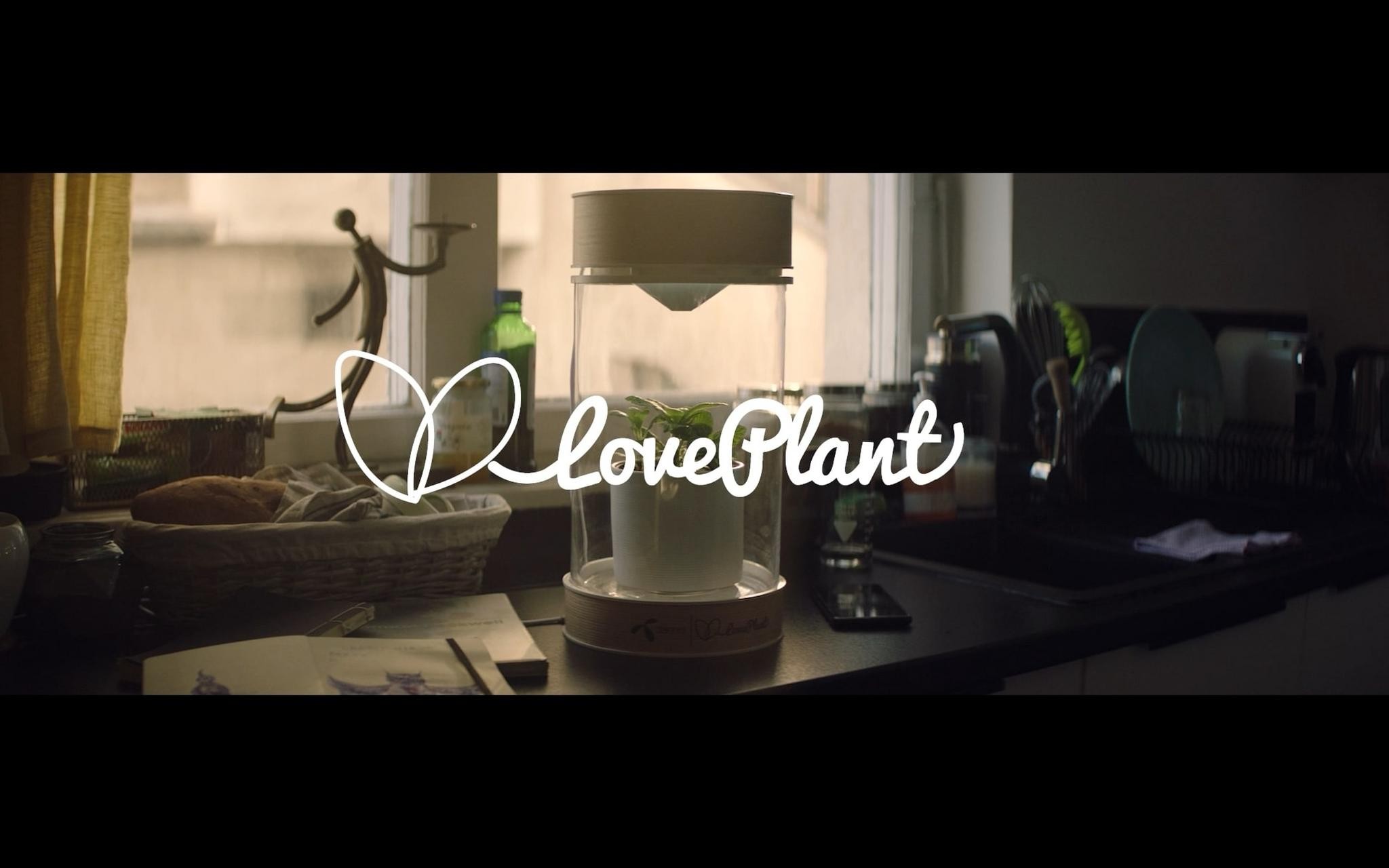 LovePlant