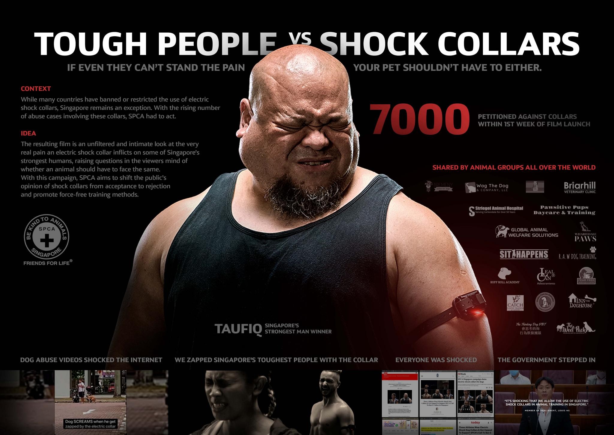 Tough People vs Shock Collar