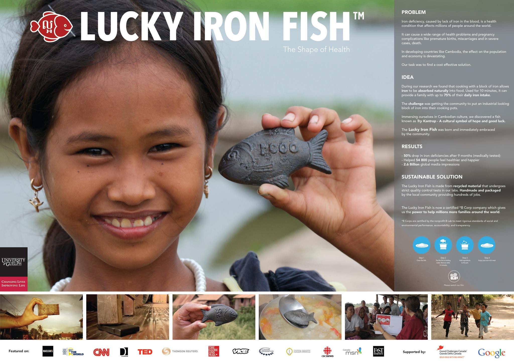 THE LUCKY IRON FISH PROJECT