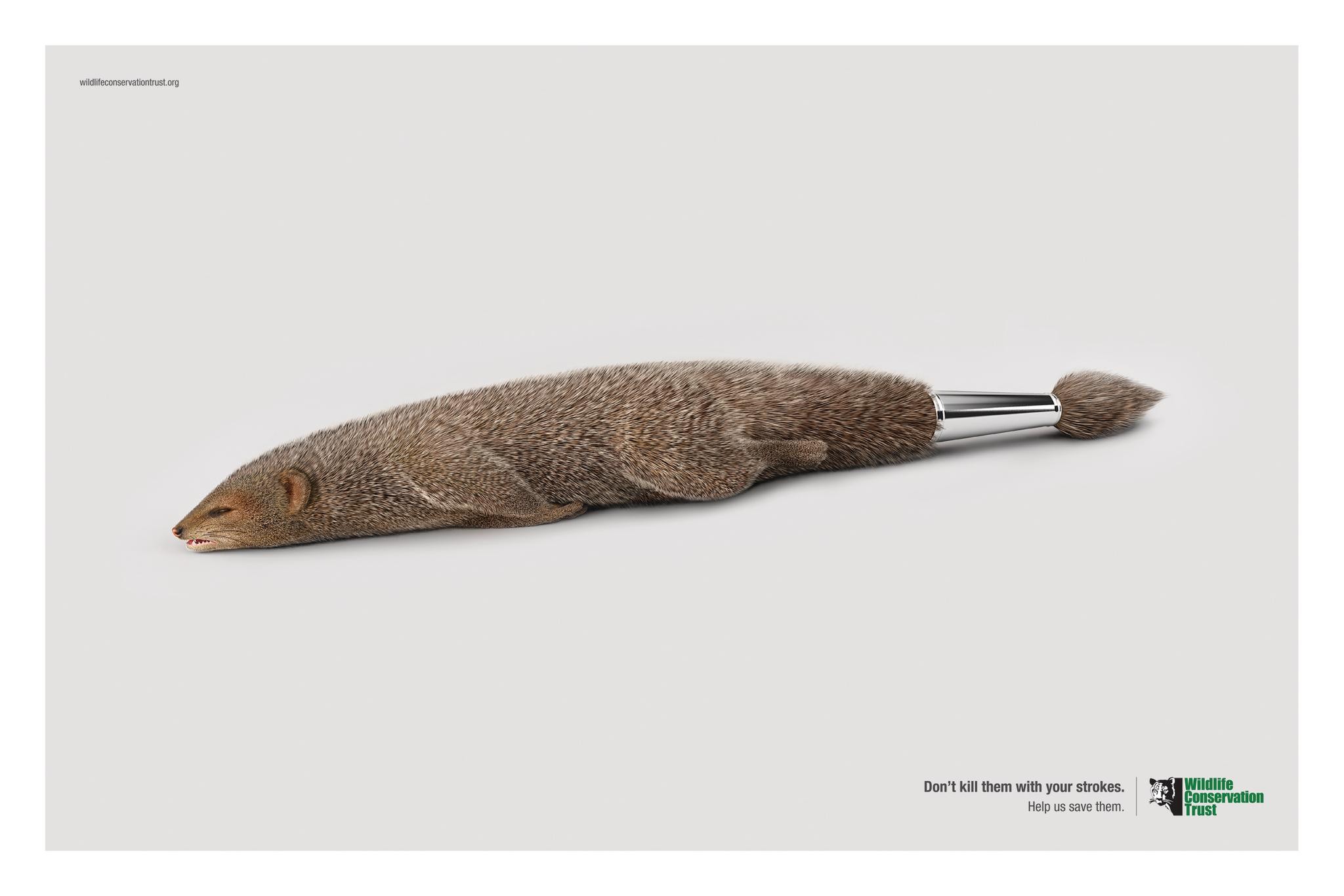 Paintbrush - Mongoose