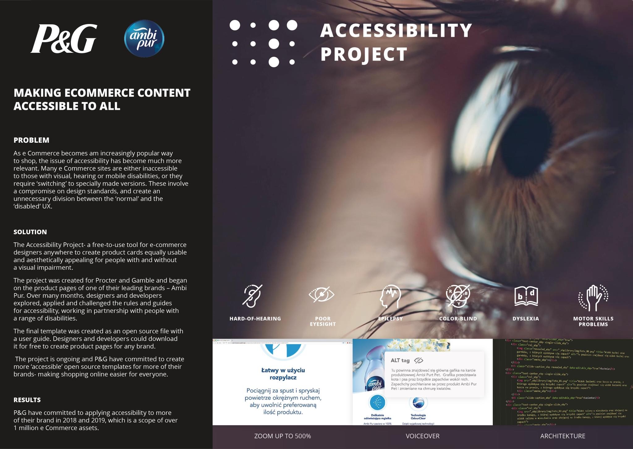 THE ACCESSIBILITY PROJECT