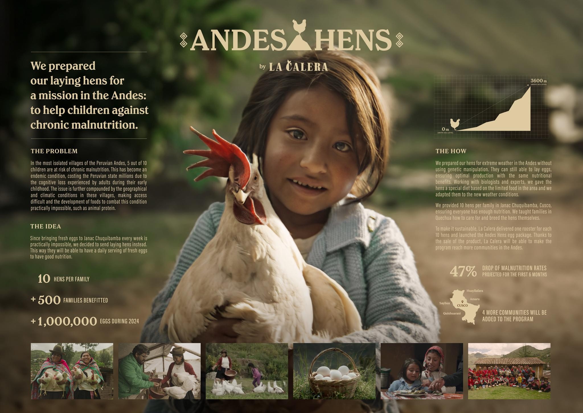 ANDES HENS