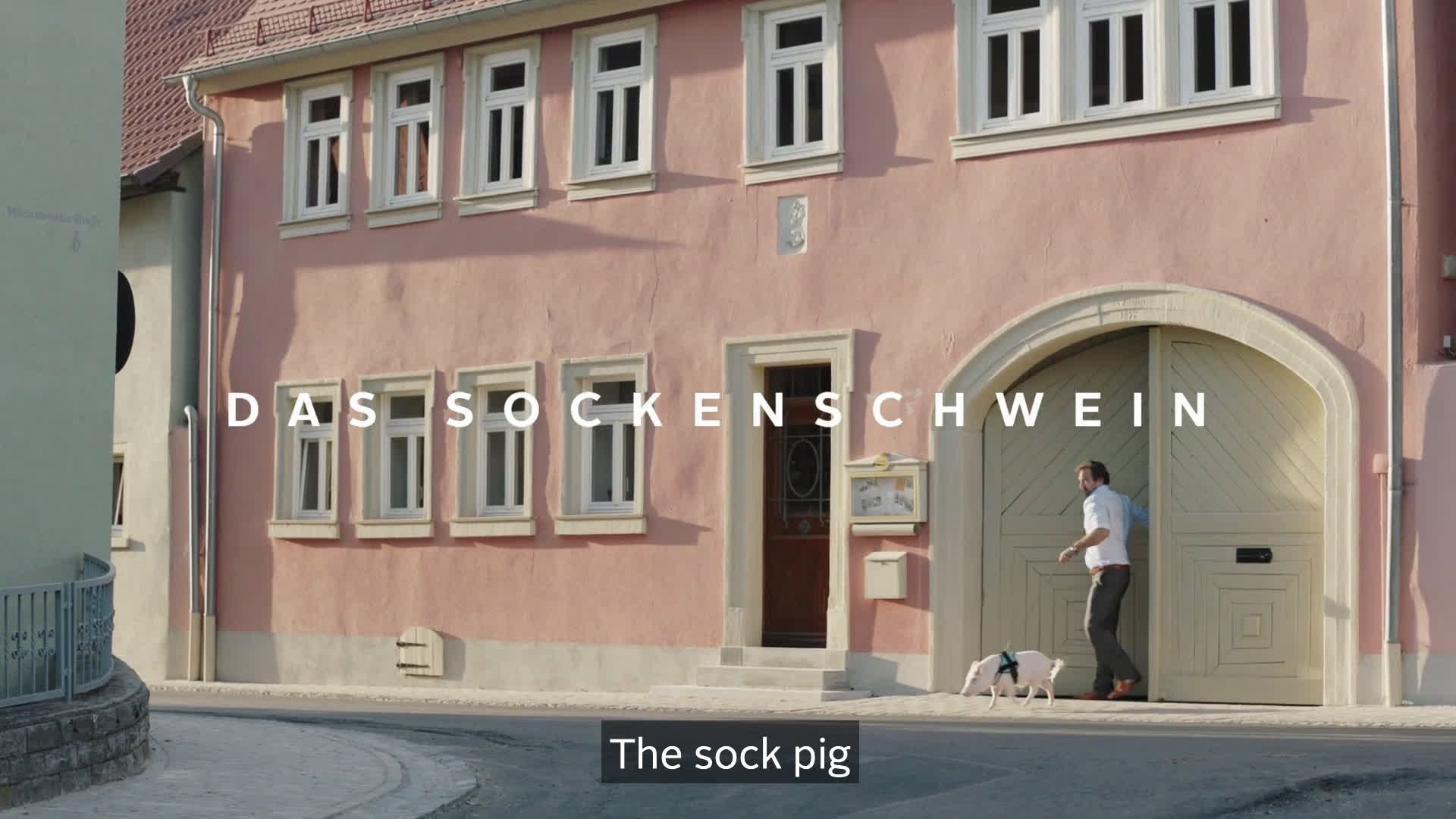 The Sock Pig