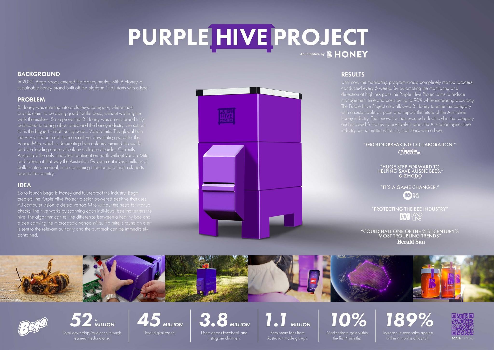 THE PURPLE HIVE PROJECT