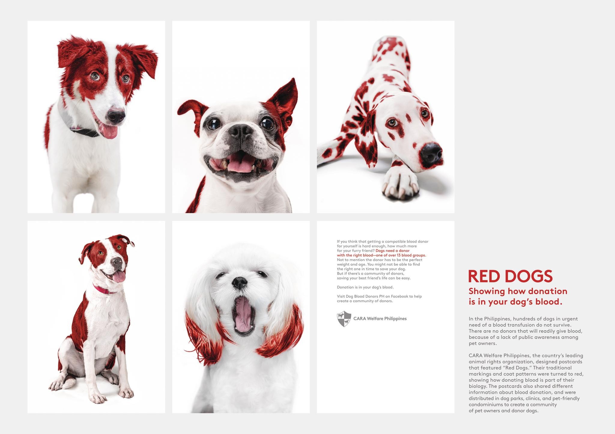 Red Dogs Campaign