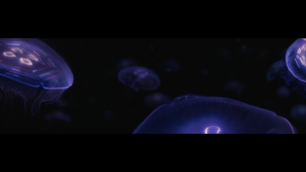 Dark Mode - Jellyfish