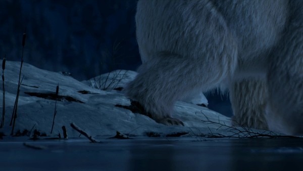 Dancing on Ice: Polar Bears