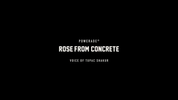 ROSE FROM CONCRETE