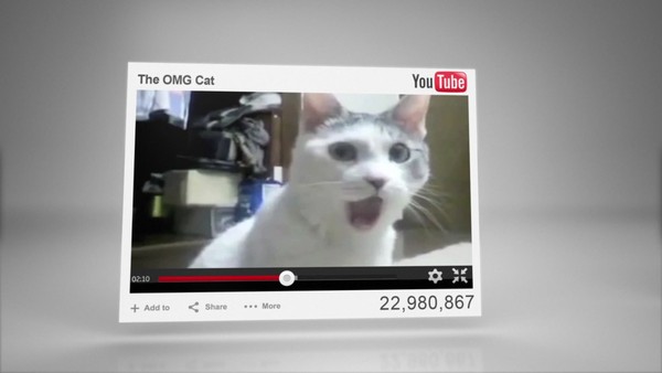 Whiskas Catstacam - How Instagram changed the perceptions of a 50 year old brand