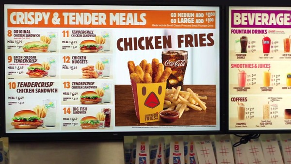 BURGER KING CHICKEN FRIES