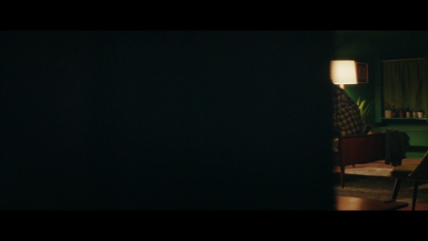THE WAY YOU LOOK TONIGHT
