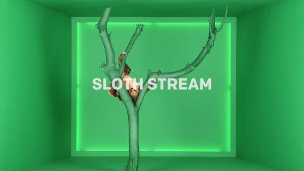 #SlothStream