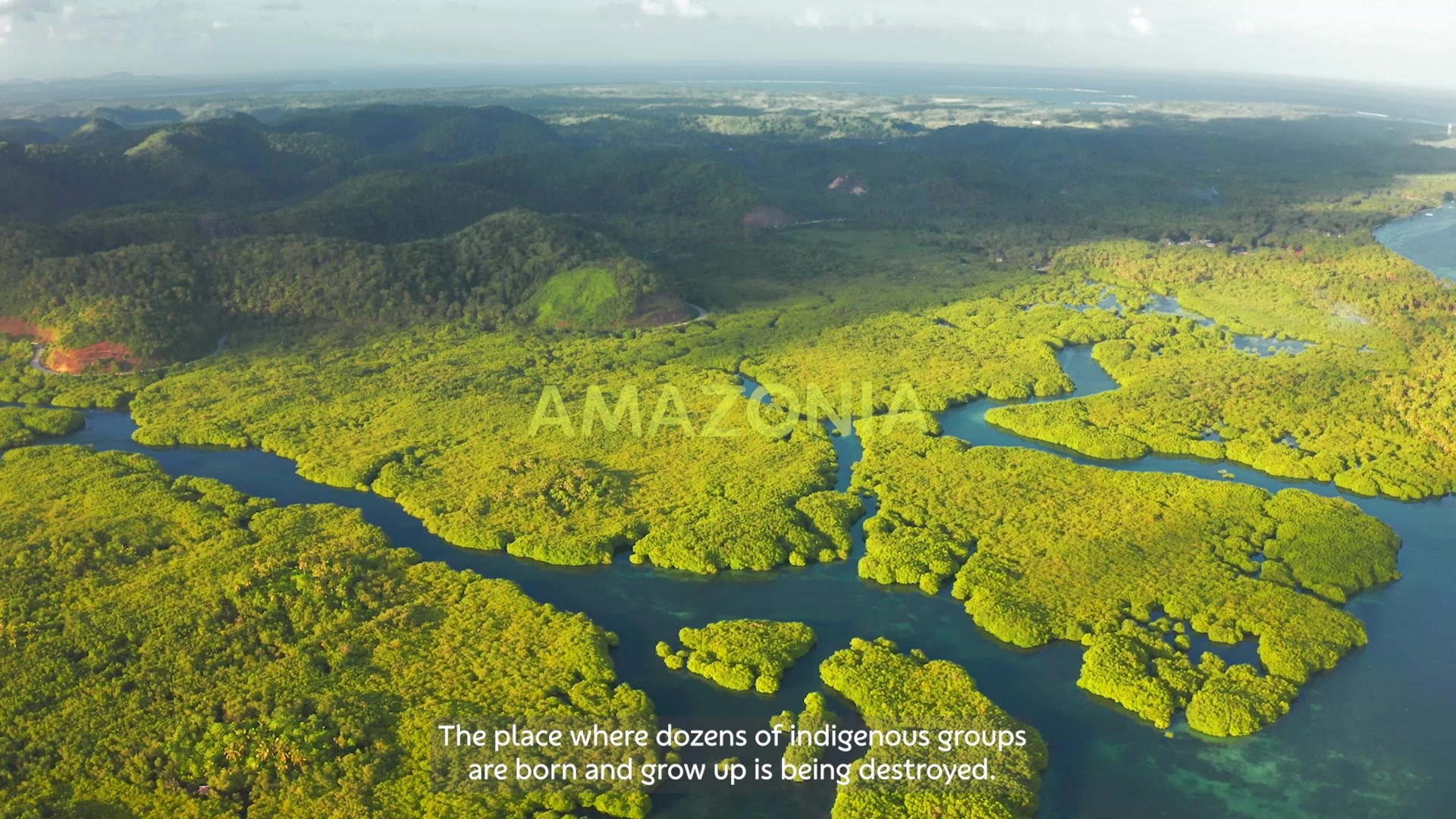 All Amazonia