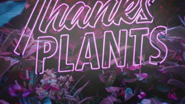 THANKS PLANTS